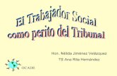 El Trabajador Social Como Perito Del Tribunal Por: Hon. Nélida ...