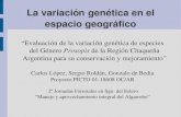 La variación genética en el espacio geográfico
