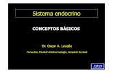 Sistema endocrino- Conceptos basicos