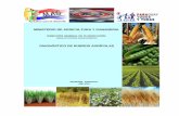 Diagnóstico de Rubros Agrícolas 1991/2008