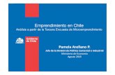 Emprendimiento en Chile - Encuesta EME - Pamela Arellano ...