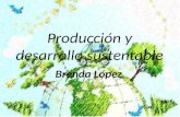 Producción y desarrollo sustentable (2A)