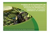 Análisis. Producción de Plátano en Chiapas
