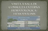 Presentacion de visita a hemodialisis