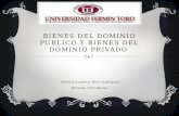Bienes del dominio publico y privado