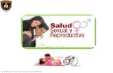 Salud sexual y reproductiva. derechos reproductivos