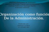 Organización como función de la administración