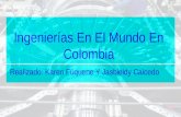 Ingenierías en el mundo en  colombia