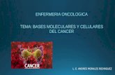 bases moleculares del cancer