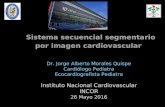 Sistema secuencial segmenario por imagen cardiovascular