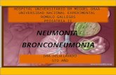 Bronconeumonia y neumonia