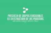Química. Presencia de Grupos Funcionales en la Estructura de las Proteínas