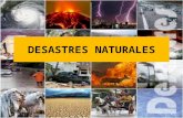 2º Civilización U12º VA: Desastres naturales