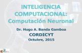 Computación neuronal