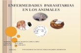 Enfermedades parasitarias EN LOS ANIMALES