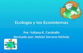Ecología y los ecosistemas/  Ecology and ecosystems