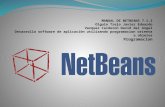 Manual de netbeans_7(2)(2)(2)