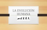 La evolución humana7