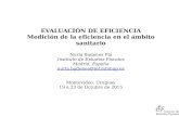 Medición de la eficiencia en el ámbito sanitario / Nuria Badenes Plá - Instituto de Estudios Fiscales (España)