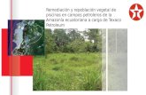 Remediación Ambiental de Texaco en Ecuador