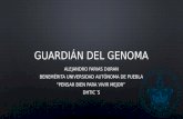 Guardián del genoma