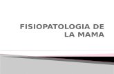 Fisiopatologia de la mama- FISIOPATOLOGIA I, PARCIAL 2