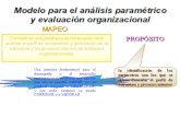 modelo para el anlisis parametrico y evaluaci³n organizacional