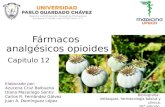 Fármacos analgésicos opioides  cap 12