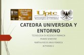 Catedra universida y entorno