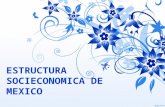 Estructura socieconomica de México