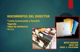 Educ 633 - Documentos del Director