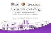Sesión Académica del CRAIC: Hipersensibilidad a trigo