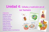 Celula y nutricion en el ser humano