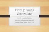 Flora y fauna venezolana