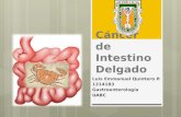 Cáncer intestino delgado