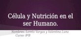 Célula y Nutrición en el ser humano
