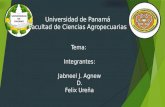 Universidad de Panamá 2da presentacion, La función de producción a corto plazo