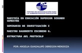 Maestría  educación superior_ESTRUCTURA DE PROTOCOLO_SEMINARIO DE INVESTIGACIÓN