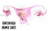 Generalidades de la ginecología