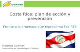 Plan de acción y prevención de Costa Rica frente a la amenaza que representa Fusarium TR4