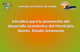 Iniciativa para la promoción del desarrollo económico del municipio Atures, Estado Amazonas