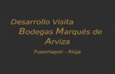Desarrollo Visita Marques De Arviza