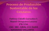 Proceso de producciã³n sustentable de los celulares nayeli y citlalli
