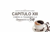 CAPITULO XIII. Estatuto aduanero 2685/99