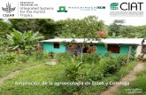 Scaling up agroecology in Estelí and Condega, Nicaragua