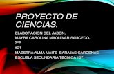 Proyecto quimica jabon completo.