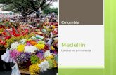 Medellín guia turistica