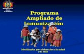 Programa Ampliado de Inmunización