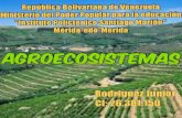 Presentación agroecosistemas