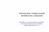 EXCITACIÓN Y CONDUCCION RITMICA DEL CORAZON CONTROL DE LA EXCITACIÓN DEL CORAZO